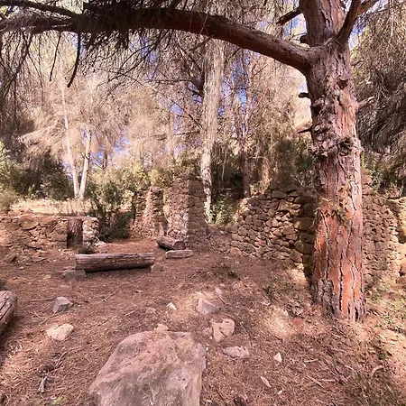 La Casita Del Appartamento *